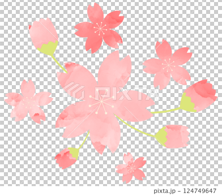 イラスト素材 桜 手描き ピンク 水彩 イラスト素材 桜 手描き ピンク 水彩 124749647