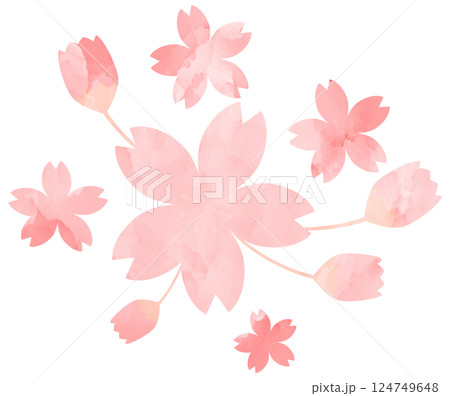 イラスト素材　桜　手描き　ピンク　水彩 124749648