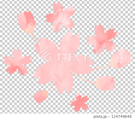 イラスト素材　桜　手描き　ピンク　水彩 124749648
