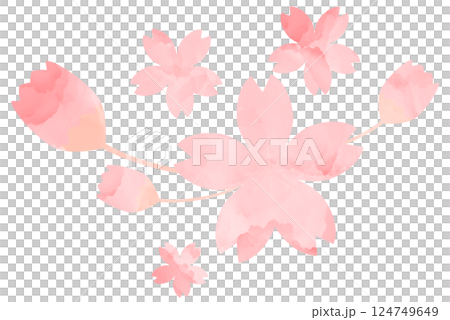 イラスト素材　桜　手描き　ピンク　水彩 124749649