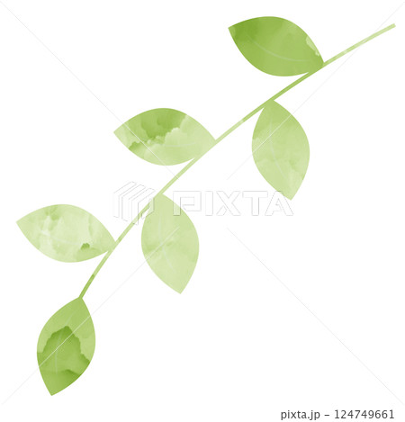 イラスト素材　春色の葉　水彩 124749661