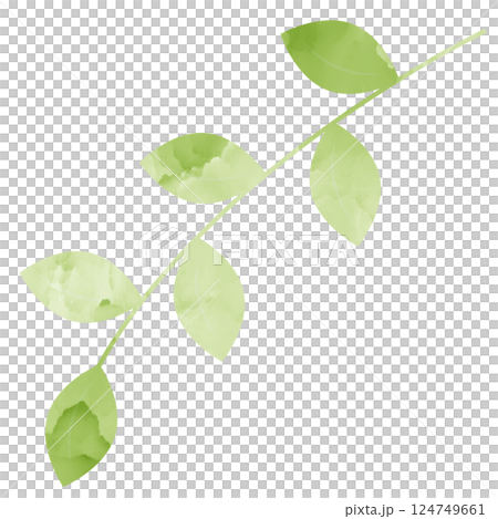 イラスト素材　春色の葉　水彩 124749661