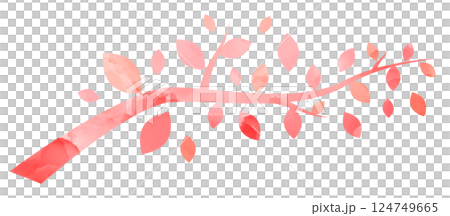 插畫材料：櫻花枝，手繪，粉紅色，水彩 124749665