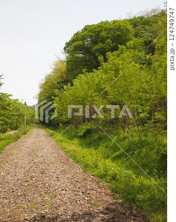 廃線跡を 廃線跡を 124749747