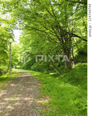 廃線跡を 廃線跡を 124749749