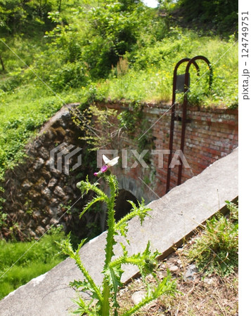 廃線跡を 124749751