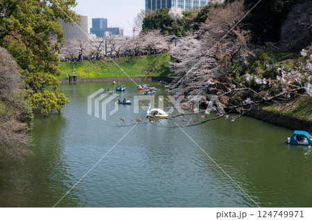 東京都千代田区九段にある千鳥ヶ淵に咲く満開の桜 124749971