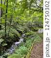 軽井沢の千ヶ滝別荘地にて新緑の森の中を流れる清流 124750302