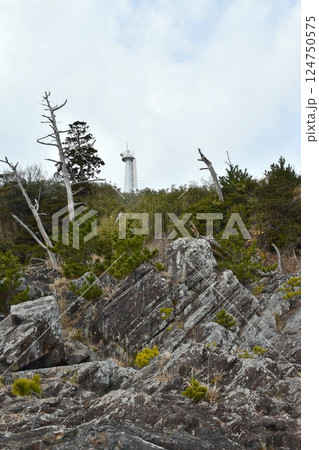 気仙沼唐桑半島 八隻曳と御埼灯台 気仙沼唐桑半島 八隻曳と御埼灯台 124750575