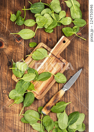 A bunch of spinach leaves. 124750946