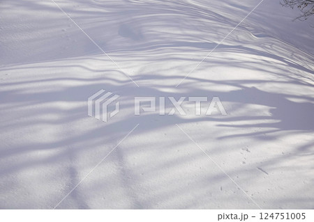 新雪の雪原に映る樹々の影 124751005