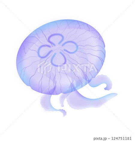 ミズクラゲ_紫 124751181