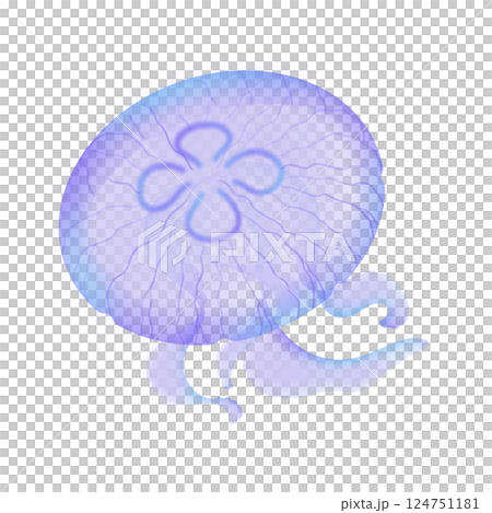 ミズクラゲ_紫 124751181