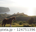 魔天崖の馬 124751396