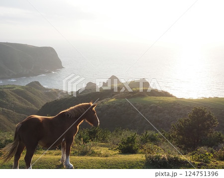 魔天崖の馬 124751396