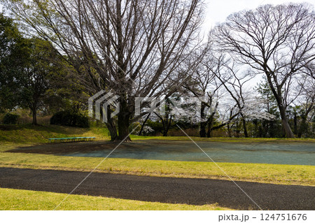埼玉県所沢市　航空公園少年スポーツ広場 124751676