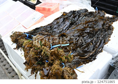 Korean seafood market. Fresh seaweed. Korean seafood market. Fresh seaweed. 124751865