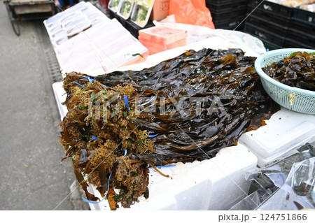 Korean seafood market. Fresh seaweed. Korean seafood market. Fresh seaweed. 124751866