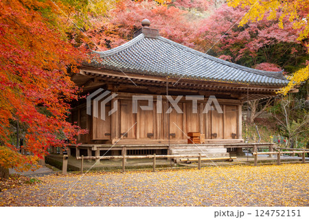 富貴寺の紅葉 富貴寺の紅葉 124752151