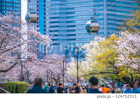 日本の横浜都市景観　桜木町駅前。汽車道の桜など望む 124752513