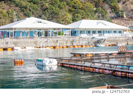 つくみイルカ島 つくみイルカ島 124752703