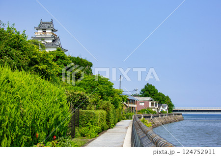 八坂川に掛かる杵築大橋と杵築城 八坂川に掛かる杵築大橋と杵築城 124752911