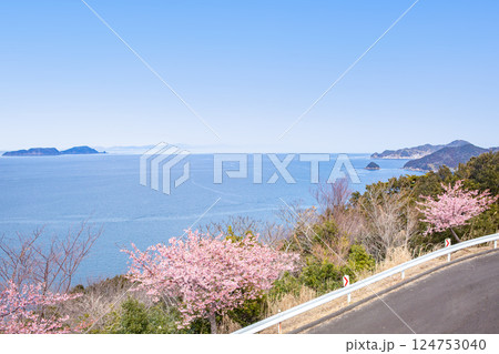 四浦半島の河津桜と保戸島・無垢島 四浦半島の河津桜と保戸島・無垢島 124753040