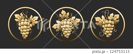 Vintage golden grapes emblem set 124753115