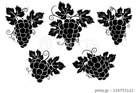 Grapes bunch icon set 124753122