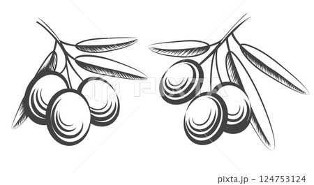 Engraving olive branches 124753124