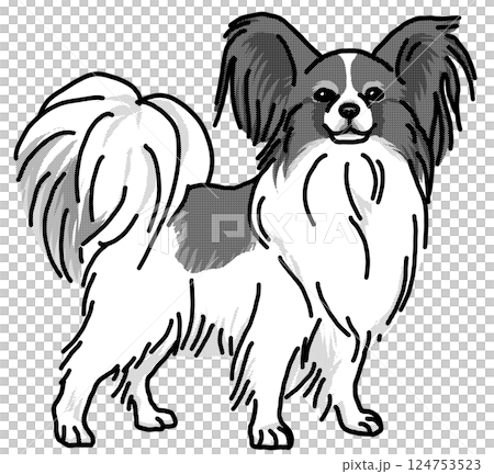 Papillon simple dog illustration 124753523