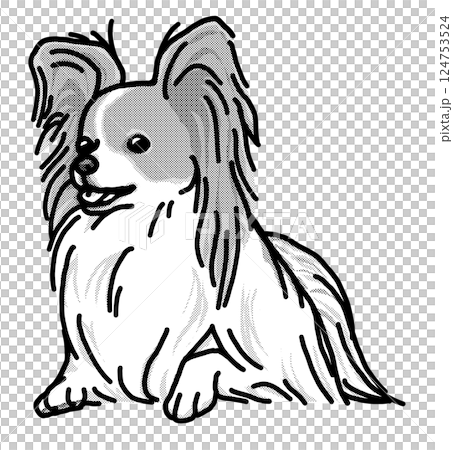 Papillon simple dog illustration 124753524