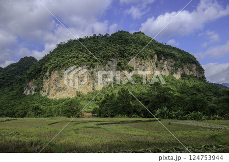 Vietnam, Hoa Binh Province, Mai Chau Valley 124753944