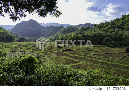 Vietnam, Hoa Binh Province, Mai Chau Valley Vietnam, Hoa Binh Province, Mai Chau Valley 124753998