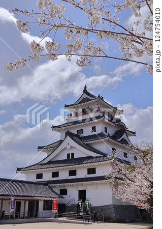 佐賀県唐津市の唐津城と桜 124754010