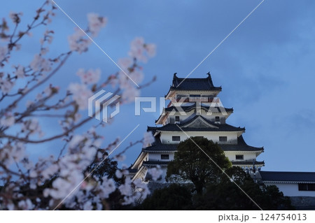 佐賀県唐津市の唐津城と桜 佐賀県唐津市の唐津城と桜 124754013