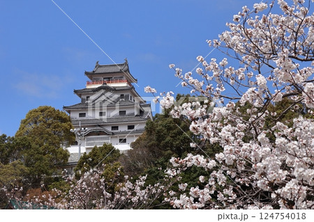 佐賀県唐津市の唐津城と桜 佐賀県唐津市の唐津城と桜 124754018