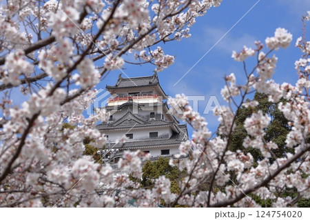 佐賀県唐津市の唐津城と桜 佐賀県唐津市の唐津城と桜 124754020