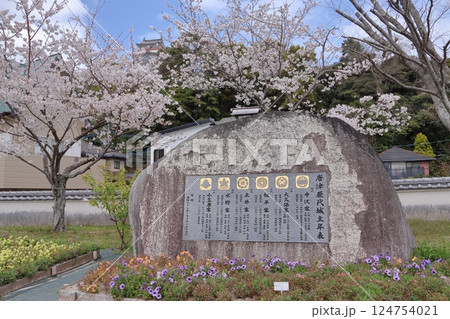 佐賀県唐津市の唐津城と桜 佐賀県唐津市の唐津城と桜 124754021