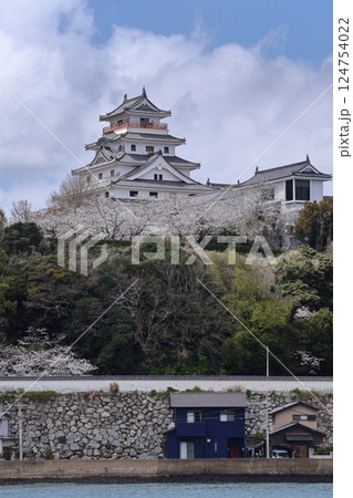 佐賀県唐津市の唐津城と桜 佐賀県唐津市の唐津城と桜 124754022
