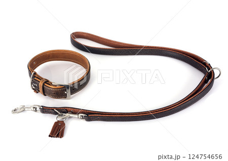 leather leash in studio 124754656