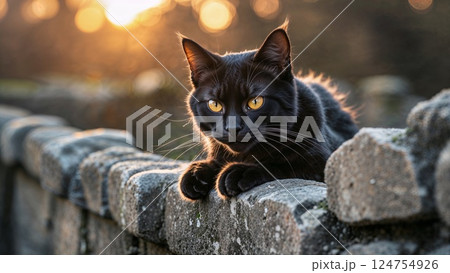 A sleek black cat with striking golden eyes lounges on a stone ledge, surrounded by a soft, warm glow of sunset 124754926