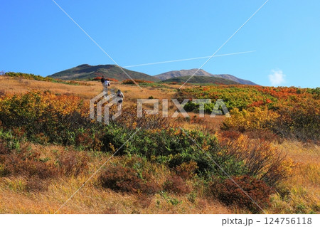 神住む山で 神住む山で 124756118