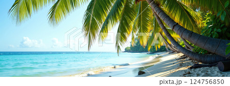 Tropical beach with palm trees and clear water. 124756850