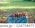brown autumn leaves in a green bag in the foreground 124758475