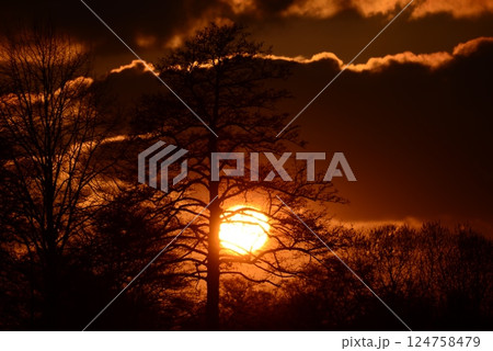 Beautyful dramatic sunset with trees in the foreground Beautyful dramatic sunset with trees in the foreground 124758479