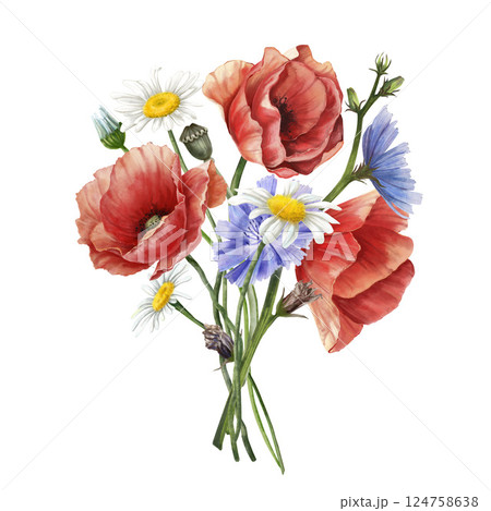 Bouquet with wild flowers in bloom. Poppy, chicory, daisy composition. Floral vintage watercolor illustration isolated on white background. Decoration for poster, greeting card, wedding design Bouquet with wild flowers in bloom. Poppy, chicory, daisy composition. Floral vintage watercolor illustration isolated on white background. Decoration for poster, greeting card, wedding design 124758638