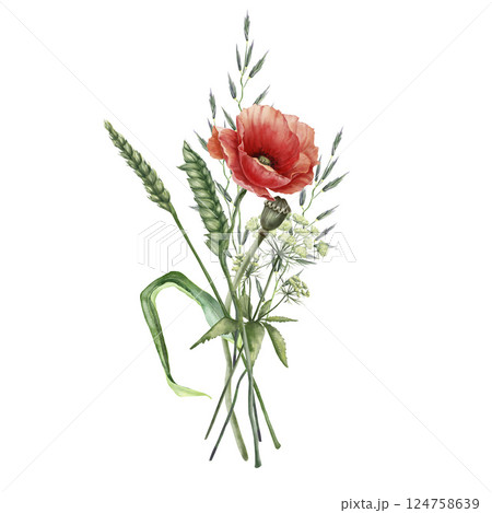 Bouquet with wild flowers and leaves. Poppy, cereal plant, grass composition. Floral vintage watercolor illustration isolated on white background. Decoration for poster, greeting card, wedding design Bouquet with wild flowers and leaves. Poppy, cereal plant, grass composition. Floral vintage watercolor illustration isolated on white background. Decoration for poster, greeting card, wedding design 124758639