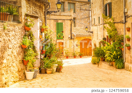 old town of Valdemossa, Majorca 124759058