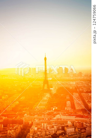 Eiffel Tower and Paris cityscape 124759066